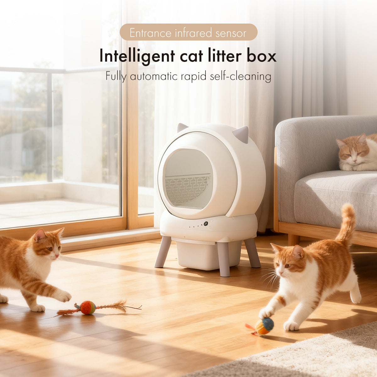 Auto Cleaning Machine With Remote Control