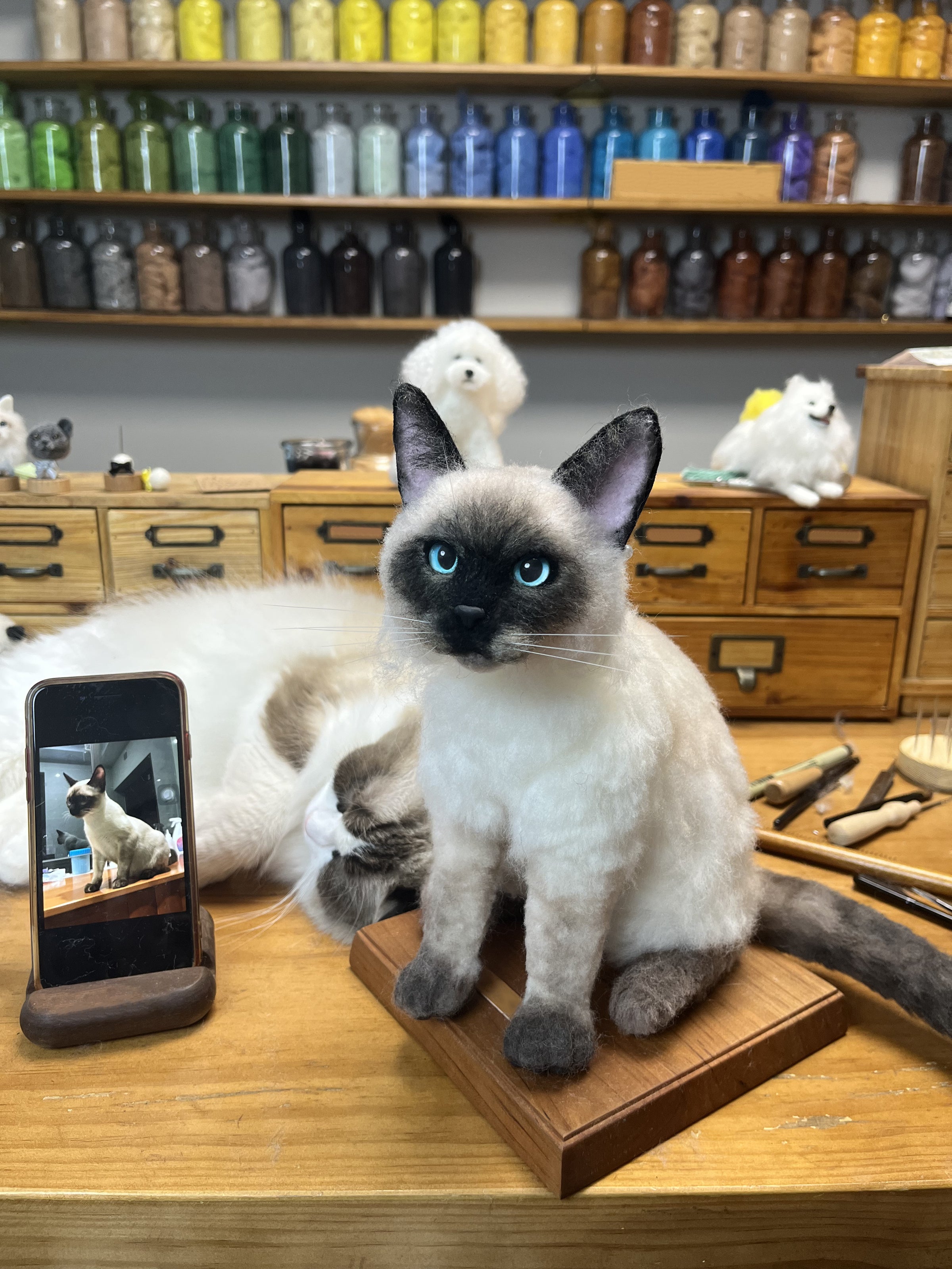 Custom 3D Wool Felt Portrait Pet Full Body Poseture
