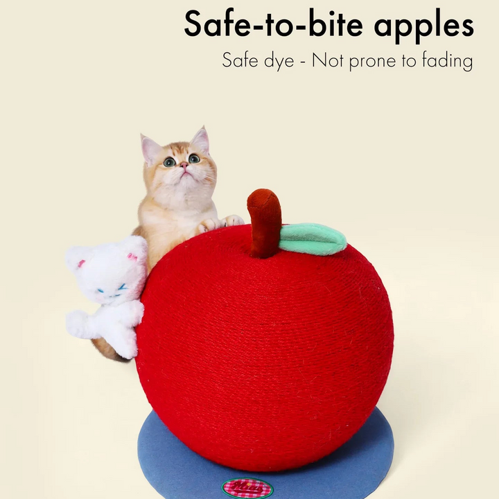 Apple Cat Tree with Honey Cat Lying Down