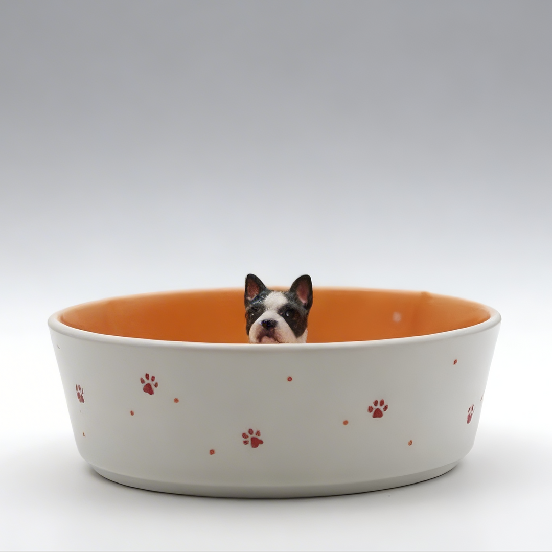 Large Pet Food Bowl