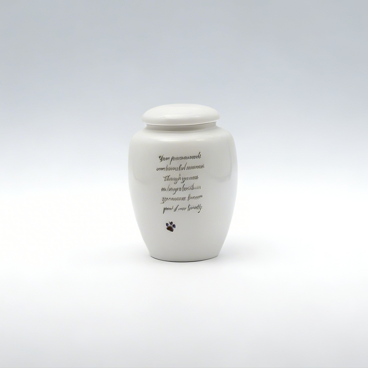 Standard Painted Pet Urn & Storage Jar