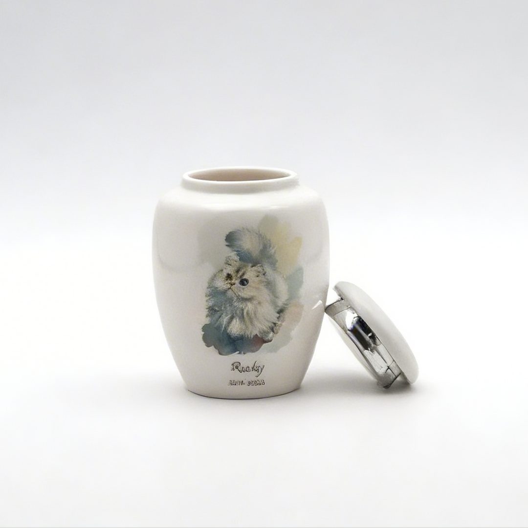 Standard Painted Pet Urn & Storage Jar