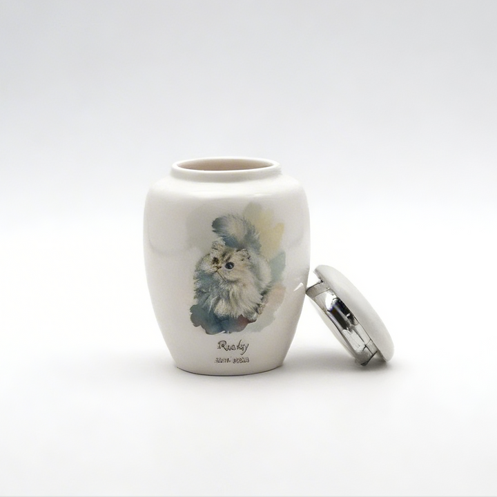 Standard Painted Pet Urn & Storage Jar